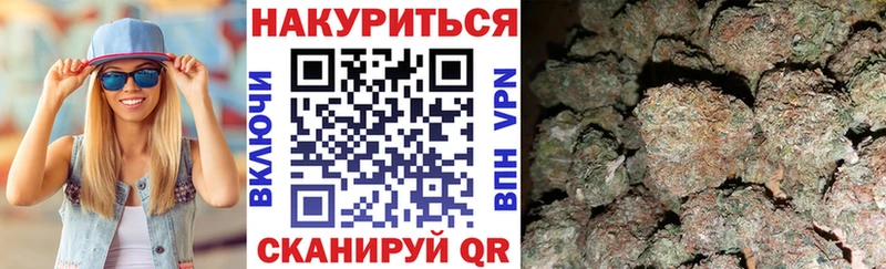 где найти   Очёр  МАРИХУАНА сатива 